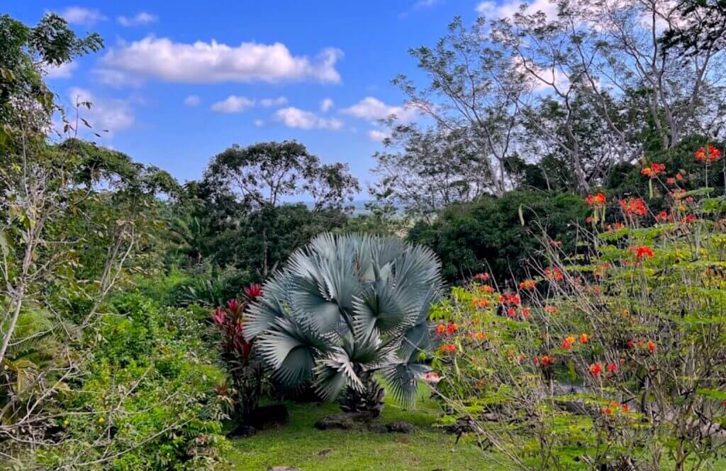 Botanical Gardens