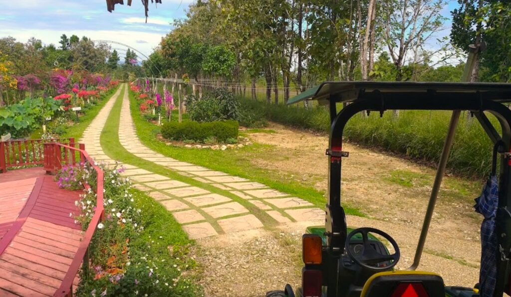 Belize Spice Farm Botanical Gardens tour