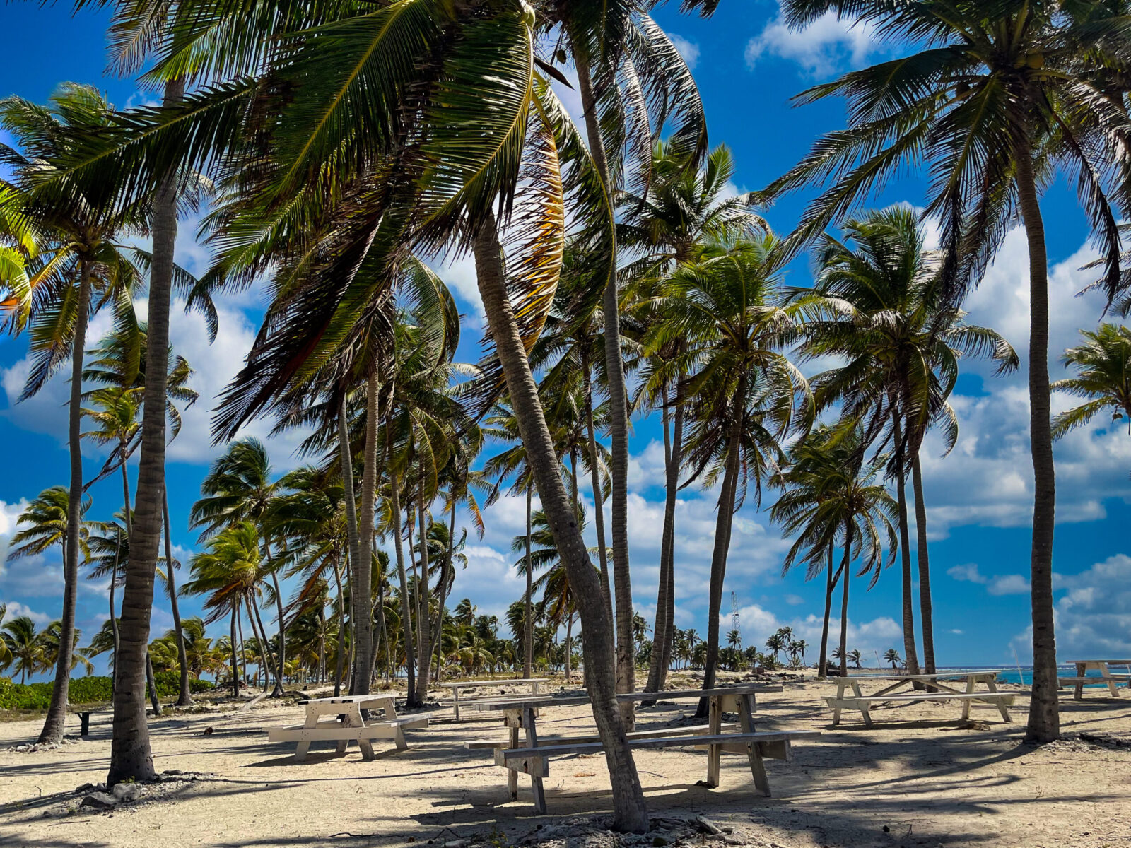 halfmoom caye belize