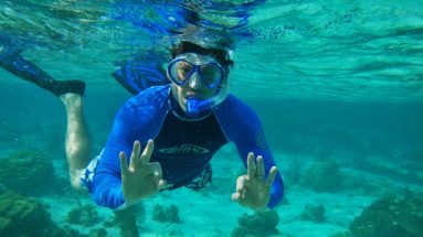 snorkel ok